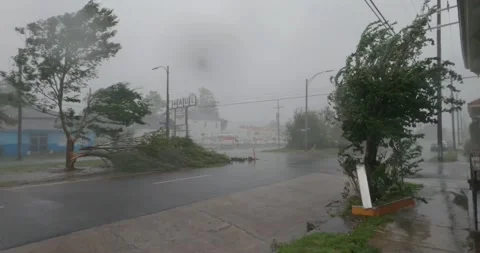 Rain wind storm damage house tree Hurricane Ida 2021 New Orleans Louisiana Stock Footage 190643666
