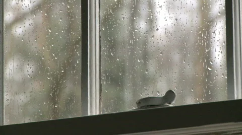 Rain on window (1 of 4) Stock Footage 100864