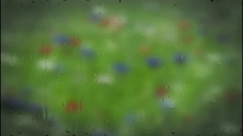 Rain on window ,drops falling on flowers bokeh Stock Footage 40691767