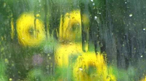 Rain on window Stock Footage 828881