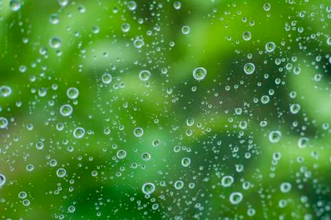 Rain on a Window, Small Drops of Water on a Window, Rain Drops Stock Photos