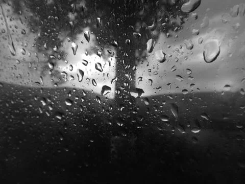 Rain on window with a tree Stock Photos