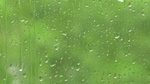 Rain Window Trees Green Stock Footage 777750