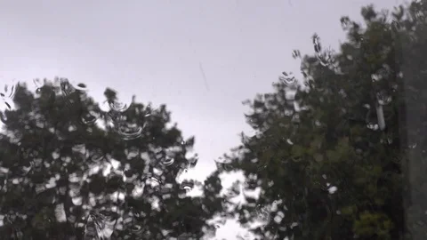 Rain on Window, Wind Blowing through Trees Stockbeeldmateriaal 86277995