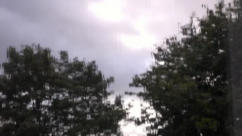 Rain on Window. Wind through Trees Stockbeeldmateriaal 86278436