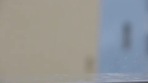 Rain on the windowsill Video stock 135144139