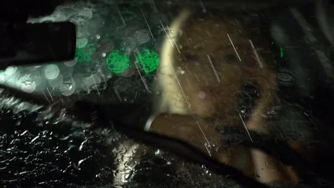 Rain, windshield wipers working on the car, businesswoman talking on the phone Stock Footage 80388111