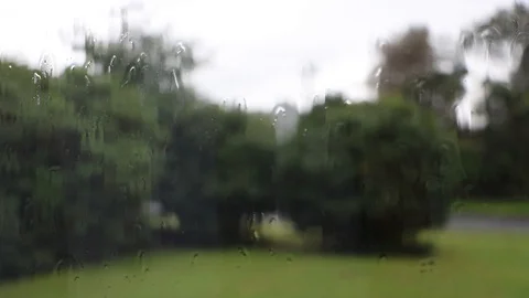 Rain On Windy With Blurred Background, Moody Day 스톡 동영상 89121060
