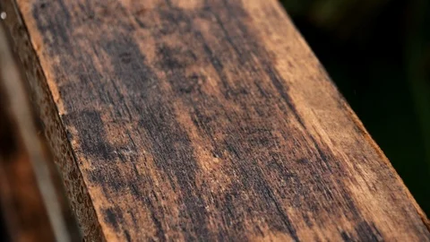 Rain on wood Video stock 94082941