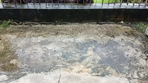 Rain in the yard during the day a Stock Footage 308422196