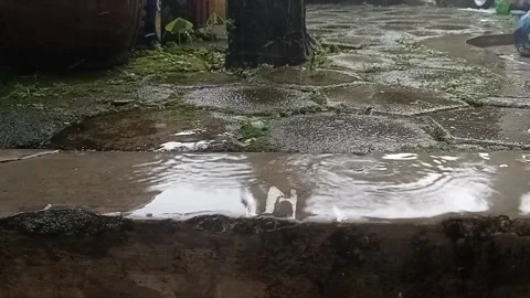 Rain in the yard Video stock 197227500