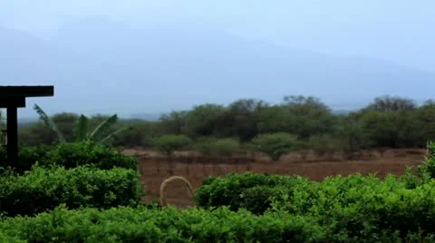 Rain001 動画素材 10841896