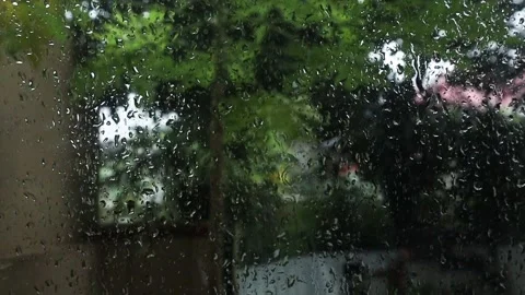 Rain1 Stock Footage 310900093