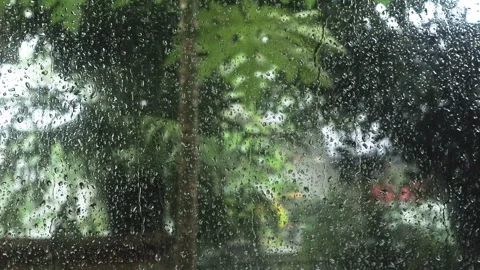 Rain2 Stock Footage 310900130