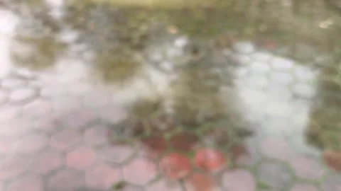 Rain2 Stock Footage 320445003