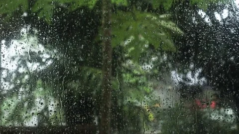 Rain3 Stock Footage 310900333