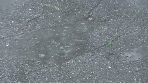 Rain_1 Vídeos de archivo 131819844