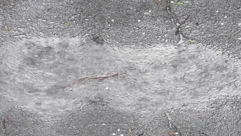 Rain_3 Vídeos de archivo 131819939