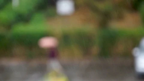 RainBlurryBackground Video stock 117166002