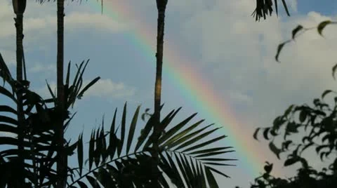 Rainbow-1 Stock Footage 12416678