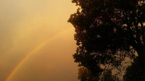 Rainbow 1 Stock Photos