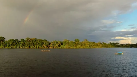 Rainbow above Amazon river and evergreen jungle, Aerial view Drone flying. Stock Footage 294117828