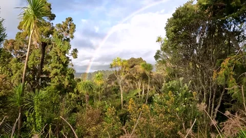 Rainbow above the Lush Rainforest of the Iconic Waitakere Ranges from Pukem.. Stock-Footage 284392391