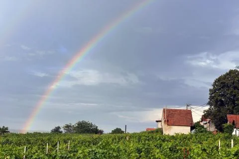 Rainbow above vineyard Stock Photos