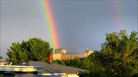 Rainbow after Summer shower birds chirping Stock Footage 24893169