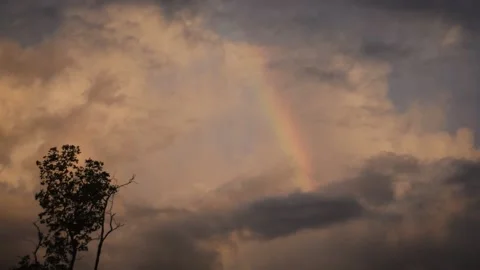 Rainbow in the afternoon Stock Footage 200928213