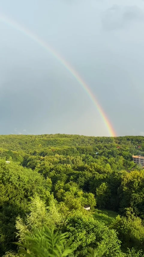Rainbow against the background of forest and clouds. Vertical video.	 Stock-Footage 318974889