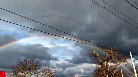 Rainbow against dark sky with power lines and bare trees 動画素材 311849344