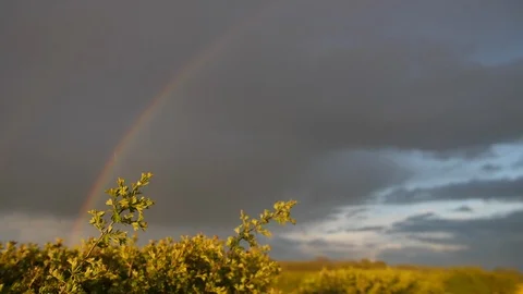 Rainbow against a stormy sky on a summer day. farmers yellow country fields  Stock Footage 90768677