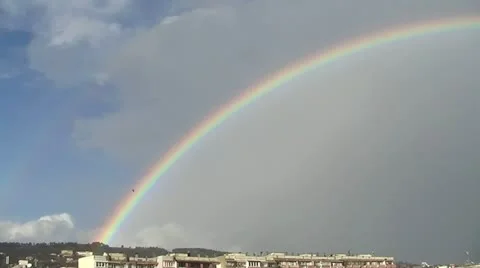 Rainbow and a bird 動画素材 21996548