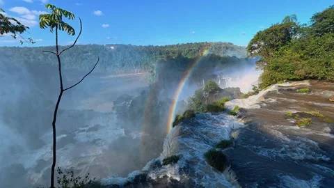 Rainbow and Mist Above Cascades on Argentina’s Iguazú Upper Circuit Video stock 342274364