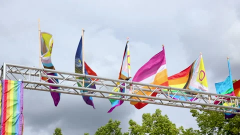 Rainbow and progress pride flags wave wind Magdeburg overcast sky background at Stock Footage 343370824