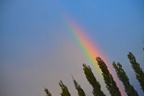 Rainbow and trees Stock Photos
