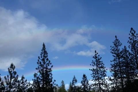 Rainbow appears behind the trees. Stock Photos