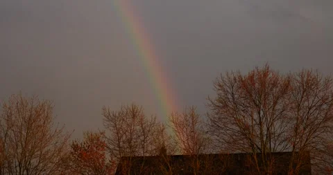 Rainbow Appears Over Trees In The Sky Stock Footage 262394477