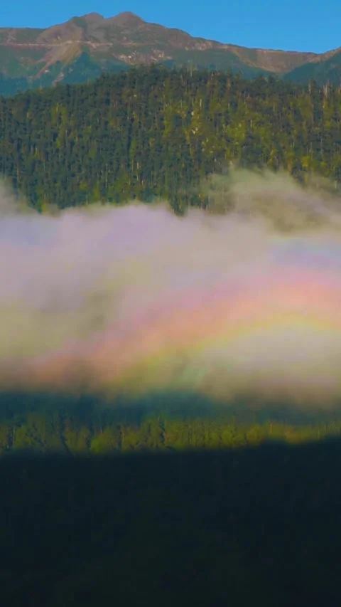 Rainbow Arc Reflected in a Tranquil Forest Fog at Sunrise (Ethereal Nature). Stock Footage 321610000
