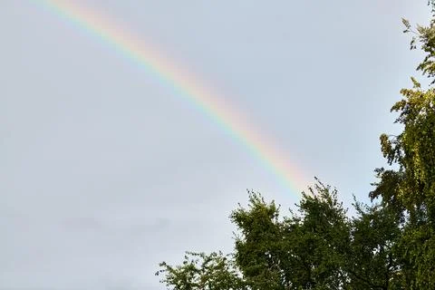 Rainbow arching over green trees against grey sky Stock Photos