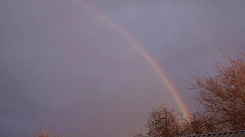 Rainbow Arcing Over Leafless Trees Stock Photos