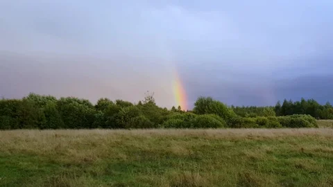 Rainbow on background of autumn forest in cloudy weather Stockbeeldmateriaal 117102796