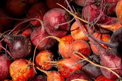 Rainbow Beets Stock Photos