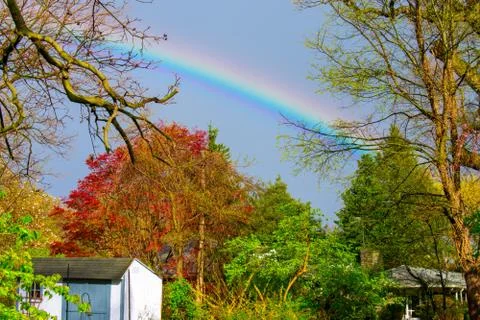 A Rainbow In-Between Green Trees on a Clear Blue Sky Stock Photos