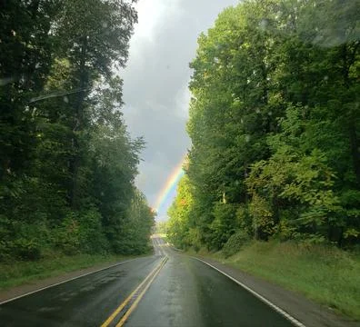 Rainbow between trees  写真素材