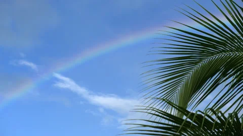 The rainbow in the blue sky Stock Footage 135272756