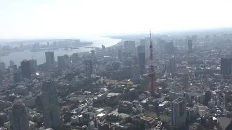 Rainbow Bridge and Tokyo Tower: Aerial View Video stock 327616702