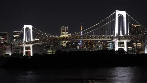 Rainbow Bridge and Tokyo Tower at Night from Odaiba Seaside Park 動画素材 344023593