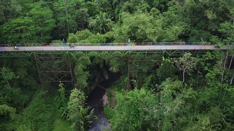 Rainbow bridge Stock Footage 235782908